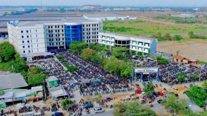 universitas-pelita-bangsa